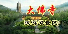双飞破处中国浙江-新昌大佛寺旅游风景区